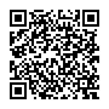 QR code for 43MM161
