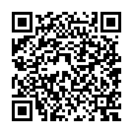 QR code for 43N511F