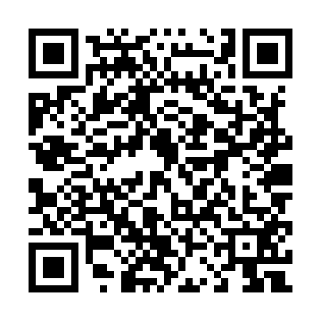 QR code for 43NY529