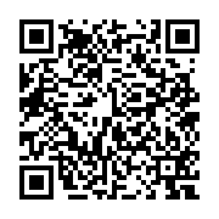 QR code for 43S313H