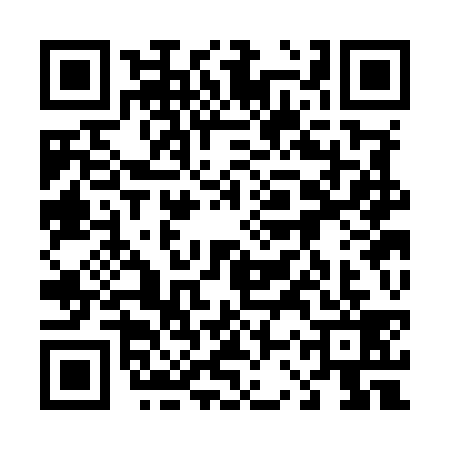 QR code for 43SM391