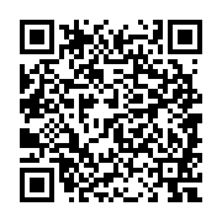 QR code for 43T381N