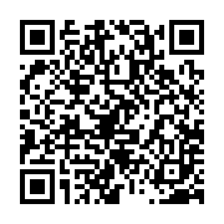 QR code for 45D383P