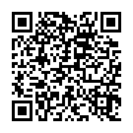 QR code for 45DSP75