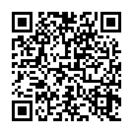 QR code for 45FM383