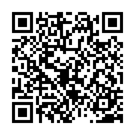QR code for 45MA079