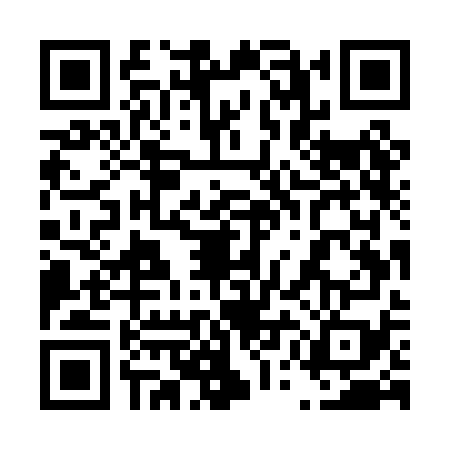 QR code for 45MPG95