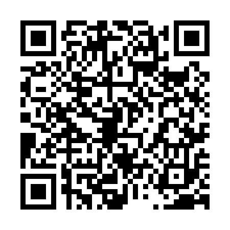 QR code for 45N113M