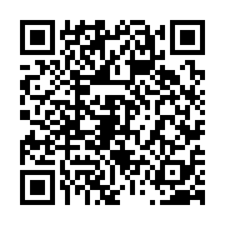 QR code for 45N3196