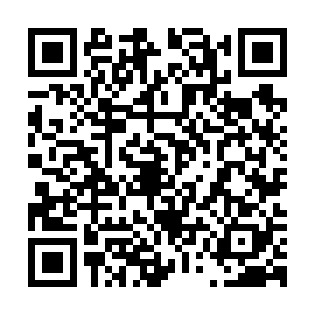 QR code for 45N6287