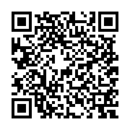 QR code for 45NM506