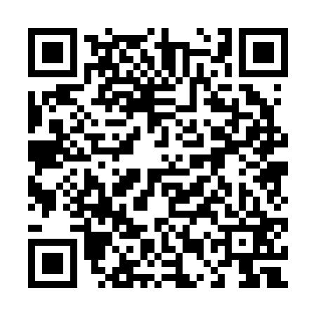 QR code for 45P223S