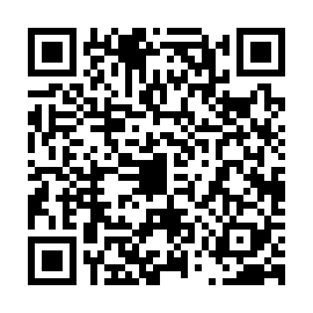 QR code for 45P3295