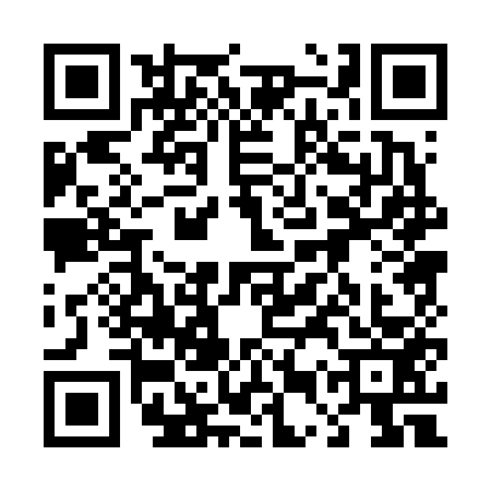 QR code for 45P6535