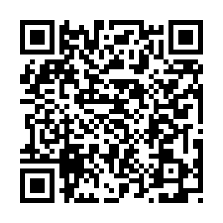 QR code for 45PL638