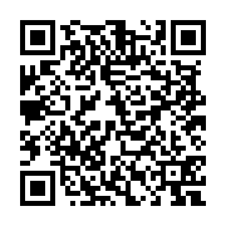 QR code for 45PM319