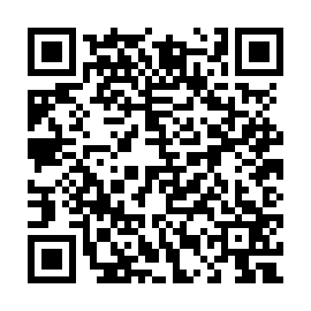 QR code for 45PNZ31