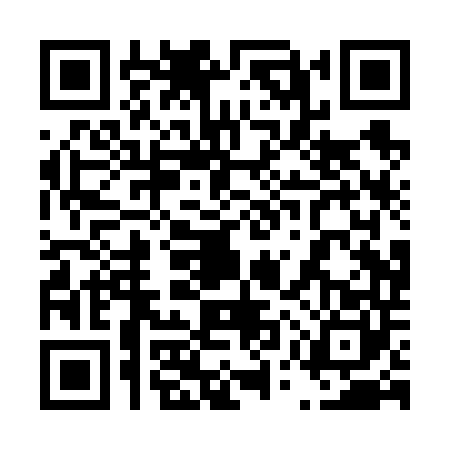 QR code for 45PV403