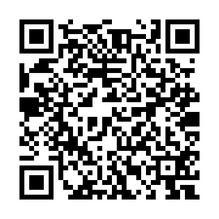 QR code for 45RPA29