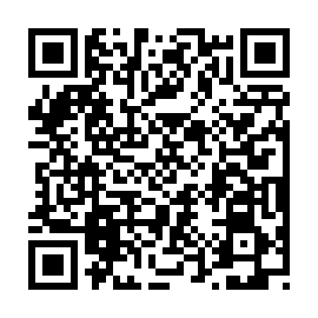 QR code for 45S446H