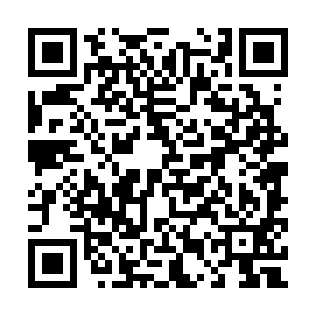QR code for 45T391N