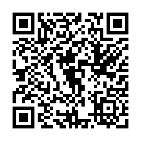 QR code for 45T9333