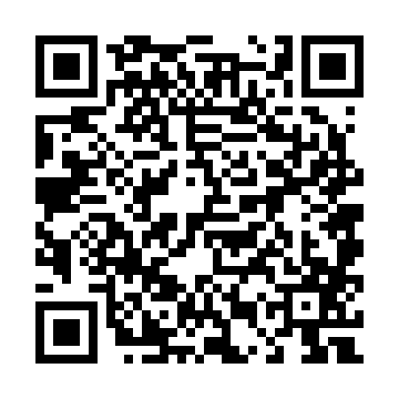 QR code for 45V2874