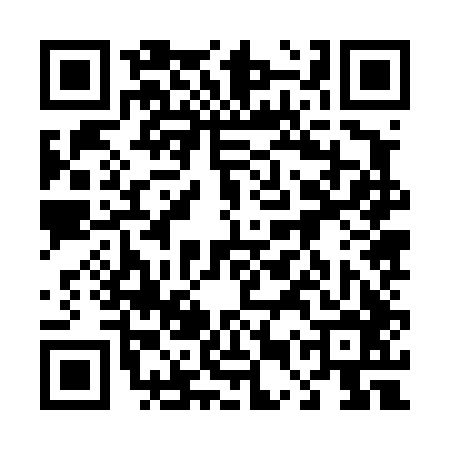 QR code for 45Z446P