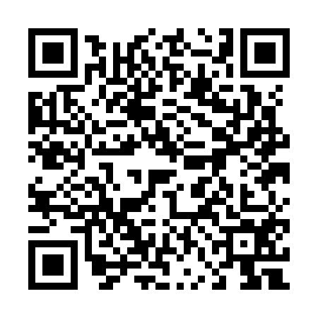 QR code for 46AK547