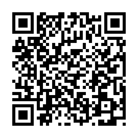 QR code for 46AY435