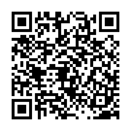 QR code for 46B1033