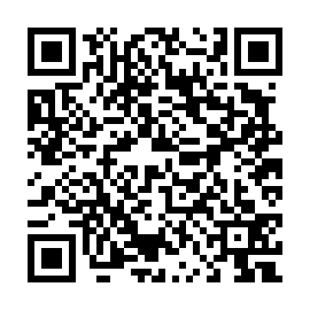 QR code for 46BD333