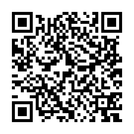 QR code for 46BM307