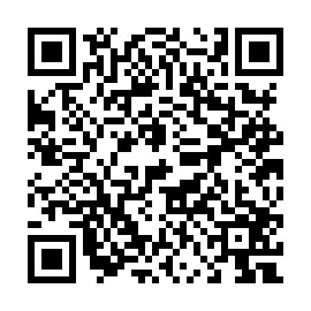 QR code for 46CHP63