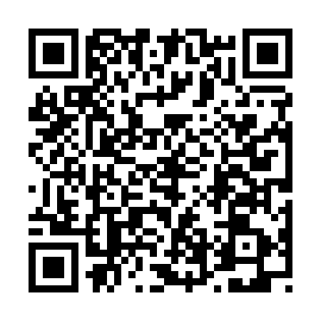 QR code for 46D153A
