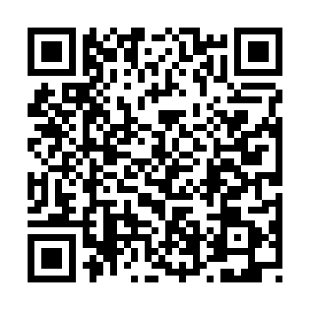 QR code for 46D2810
