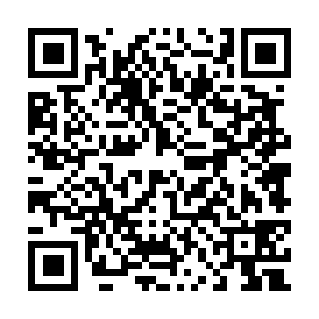 QR code for 46D438L