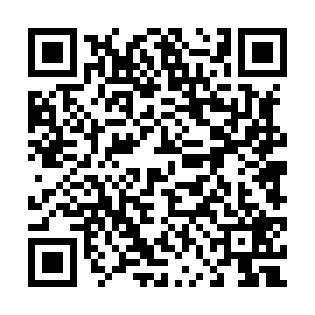 QR code for 46D8295