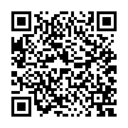 QR code for 46DGP56