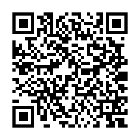 QR code for 46DP613