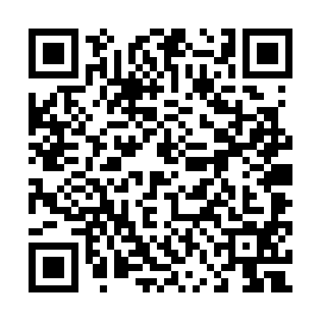 QR code for 46DS948