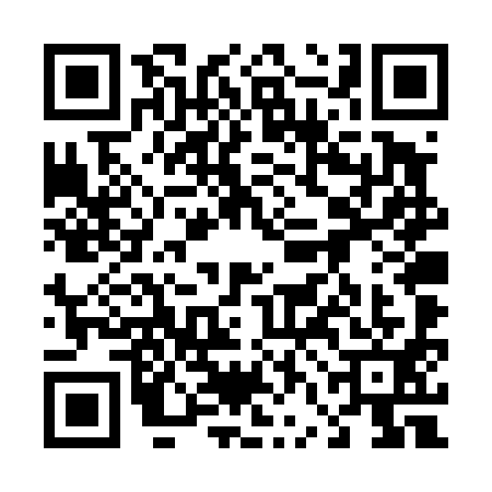 QR code for 46DT917