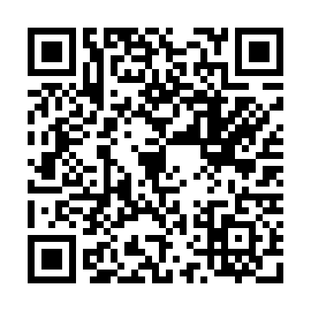 QR code for 46F5317