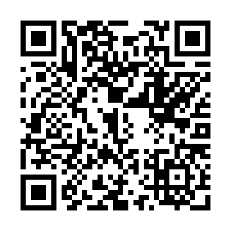 QR code for 46FF863