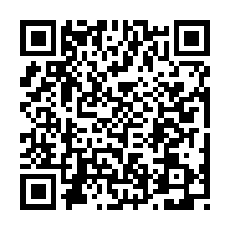 QR code for 46FJ313