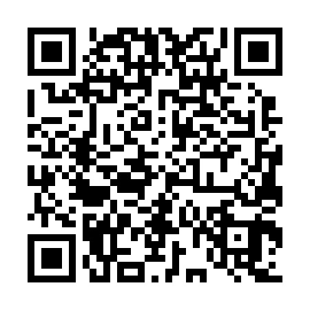 QR code for 46G241T