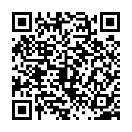 QR code for 46G538Z
