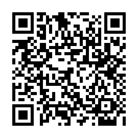 QR code for 46G6895