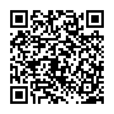QR code for 46H2529