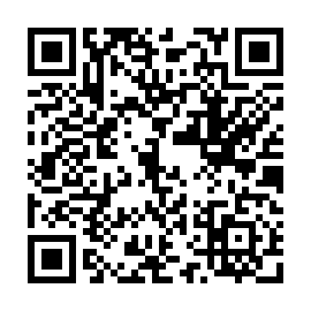 QR code for 46HS113